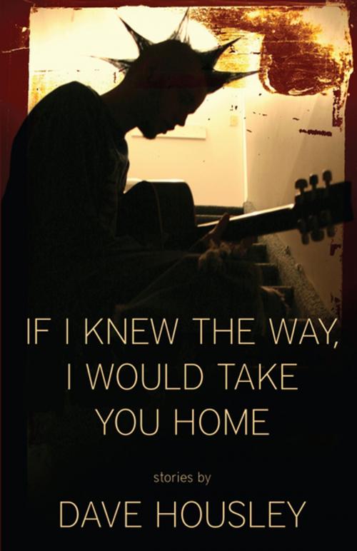 Cover of the book If I Knew the Way, I Would Take You Home by Dave Housley, Dzanc Books