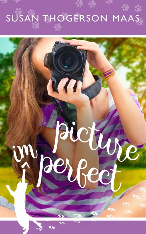 Cover of the book Picture Imperfect by Susan Thogerson Maas, Ashberry Lane Publishing