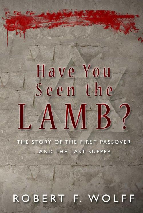 Cover of the book Have You Seen the Lamb? by Robert F. Wolff, Drawbaugh Publishing Group