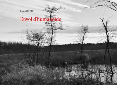 Cover of the book Envol d'humanoïde by Frédéric Lienard, Books on Demand