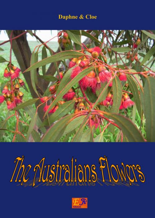 Cover of the book The Australians Flowers by Daphne & Cloe, Edizioni R.E.I.