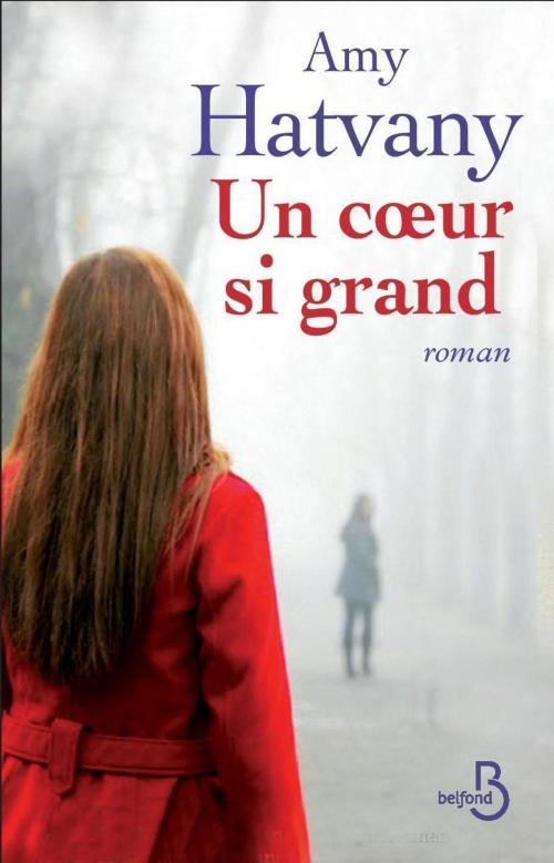 Cover of the book Un coeur si grand by Amy HATVANY, Place des éditeurs