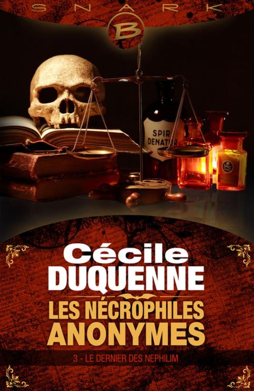 Cover of the book Le Dernier des Nephilim by Cécile Duquenne, Milady