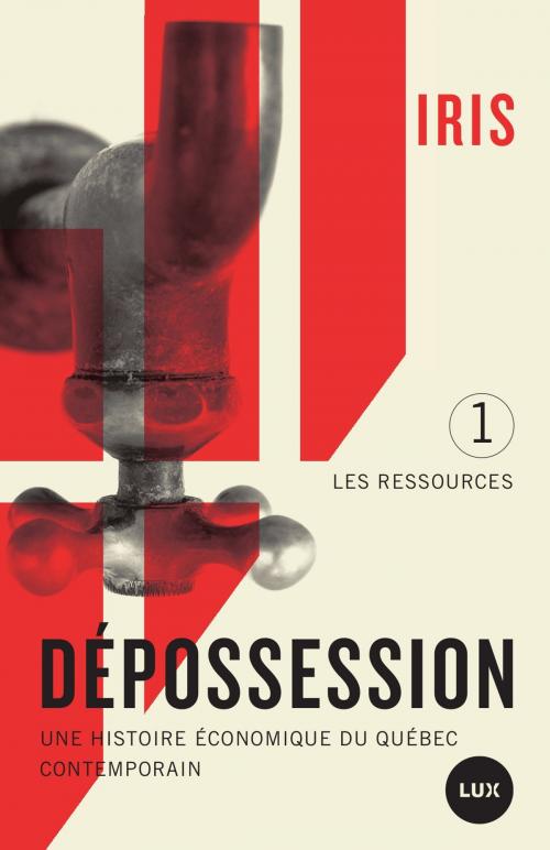 Cover of the book Dépossession by IRIS Institut de recherche et d'informations socio-économiques, Simon Tremblay-Pepin, Lux Éditeur