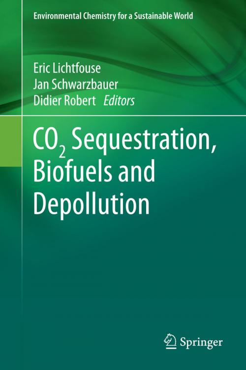 Cover of the book CO2 Sequestration, Biofuels and Depollution by , Springer International Publishing