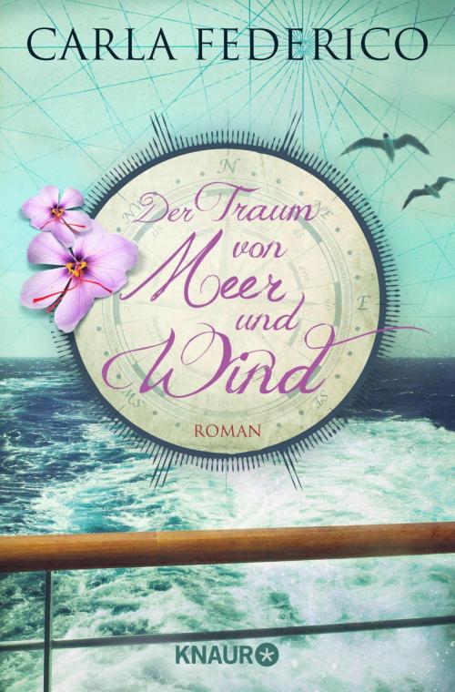 Cover of the book Der Traum von Meer und Wind by Carla Federico, Knaur eBook