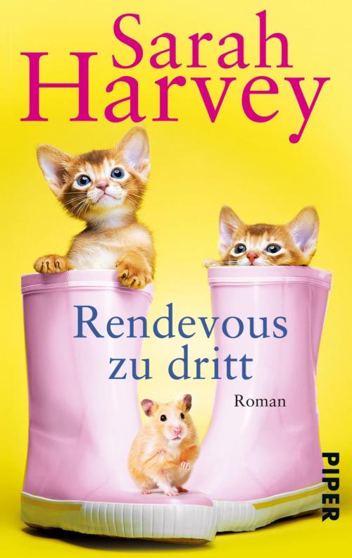 Cover of the book Rendezvous zu dritt by Sarah Harvey, Piper ebooks