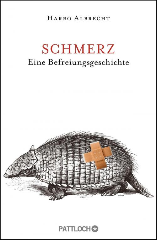Cover of the book Schmerz by Harro Albrecht, Pattloch eBook