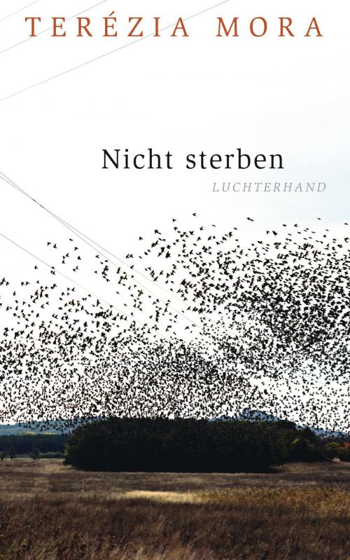 Cover of the book Nicht sterben by Terézia Mora, Luchterhand Literaturverlag