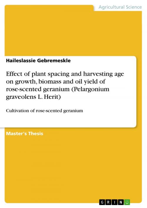 Cover of the book Effect of plant spacing and harvesting age on growth, biomass and oil yield of rose-scented geranium (Pelargonium graveolens L. Herit) by Haileslassie Gebremeskle, GRIN Publishing