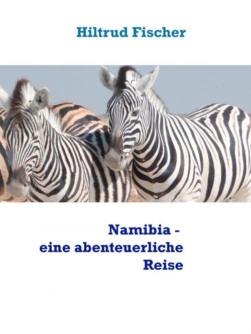 Cover of the book Namibia - eine abenteuerliche Reise by Hiltrud Fischer, Books on Demand