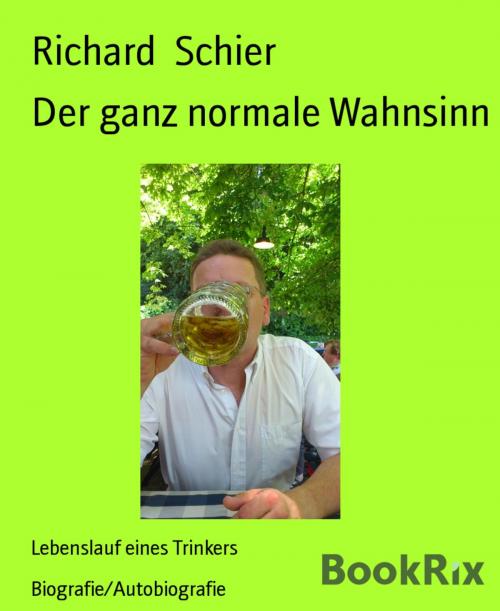 Cover of the book Der ganz normale Wahnsinn by Richard Schier, BookRix