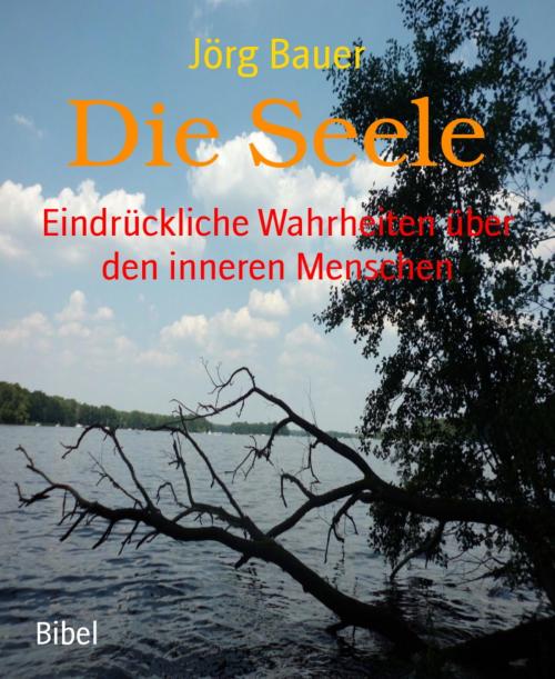 Cover of the book Die Seele by Jörg Bauer, BookRix