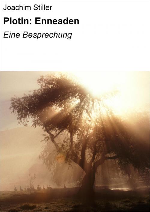 Cover of the book Plotin: Enneaden by Joachim Stiller, neobooks