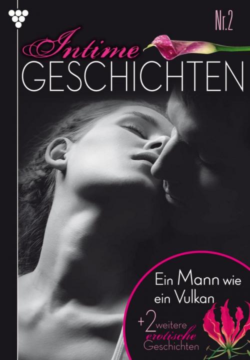 Cover of the book Intime Geschichten 2 – Erotikroman by Susan Perry, Kelter Media