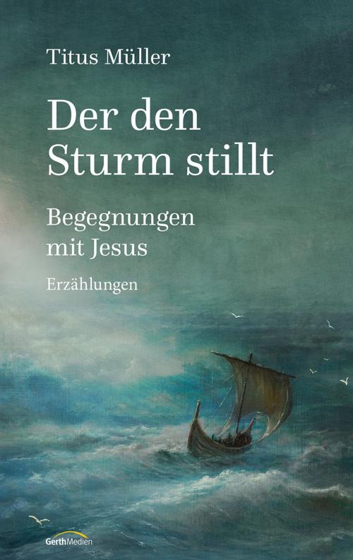 Cover of the book Der den Sturm stillt by Titus Müller, Gerth Medien
