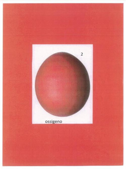 Cover of the book Ossigeno by Horus, Youcanprint Self-Publishing