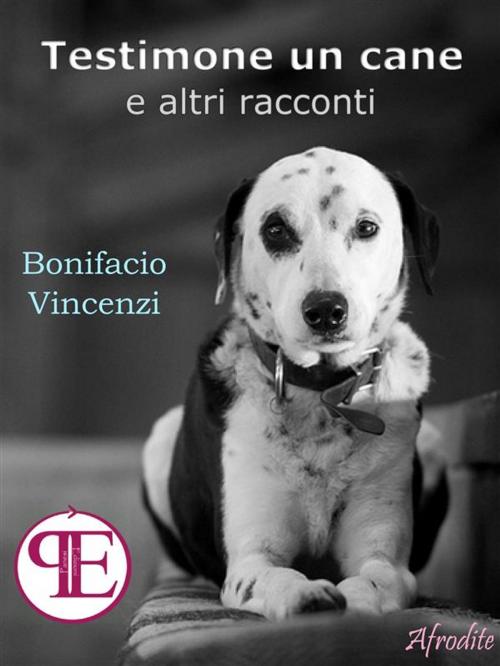 Cover of the book Testimone un cane e altri racconti by Bonifacio Vincenzi, Panesi Edizioni