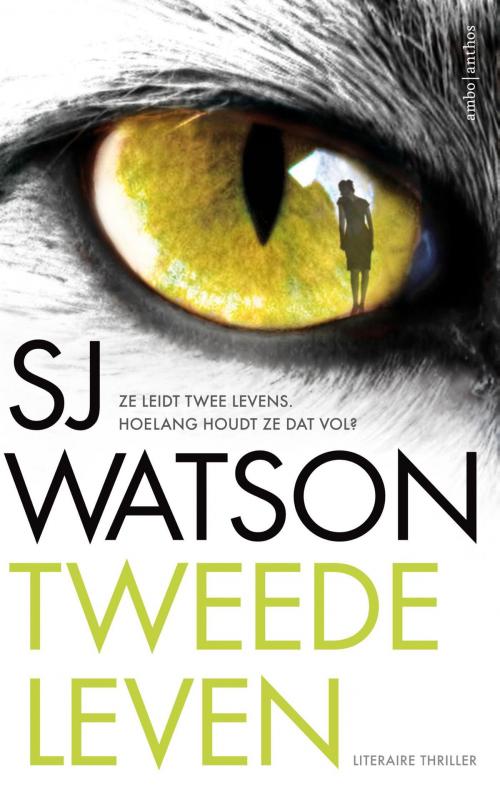 Cover of the book Tweede leven by SJ Watson, Ambo/Anthos B.V.
