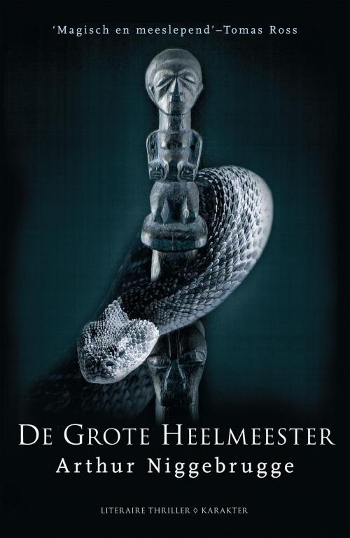Cover of the book De grote heelmeester by Arthur Niggebrugge, Karakter Uitgevers BV