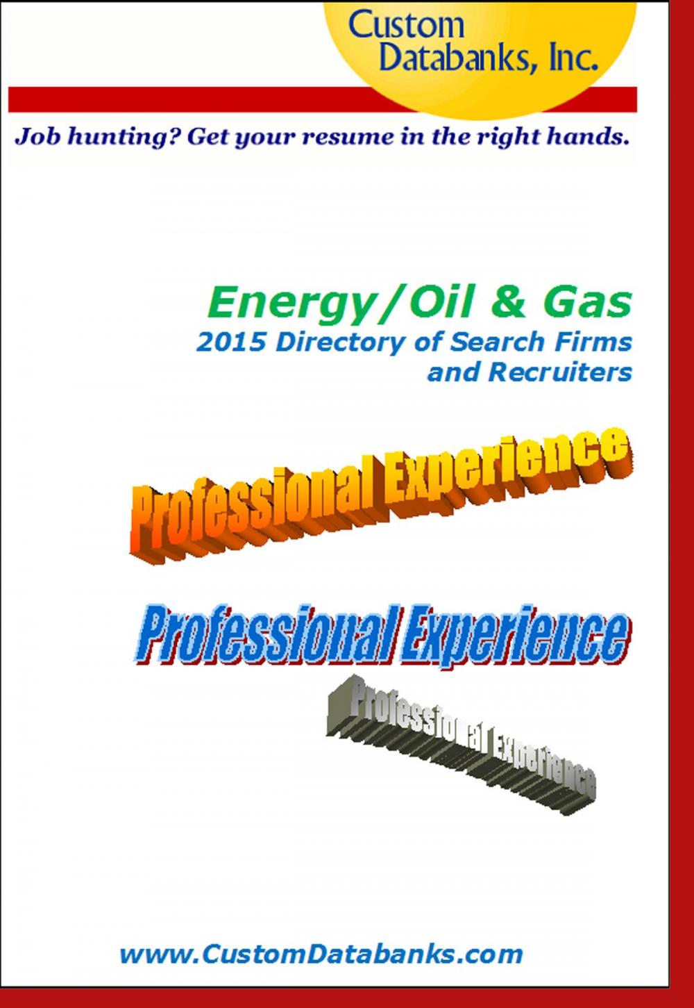 Big bigCover of Energy/Oil & Gas 2015 Directory of Search Firms and Recruiters