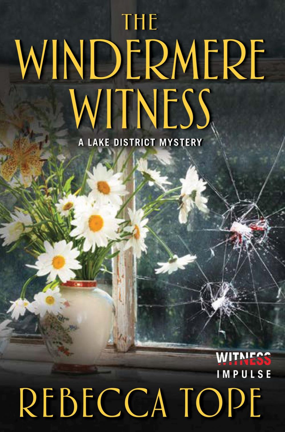 Big bigCover of The Windermere Witness