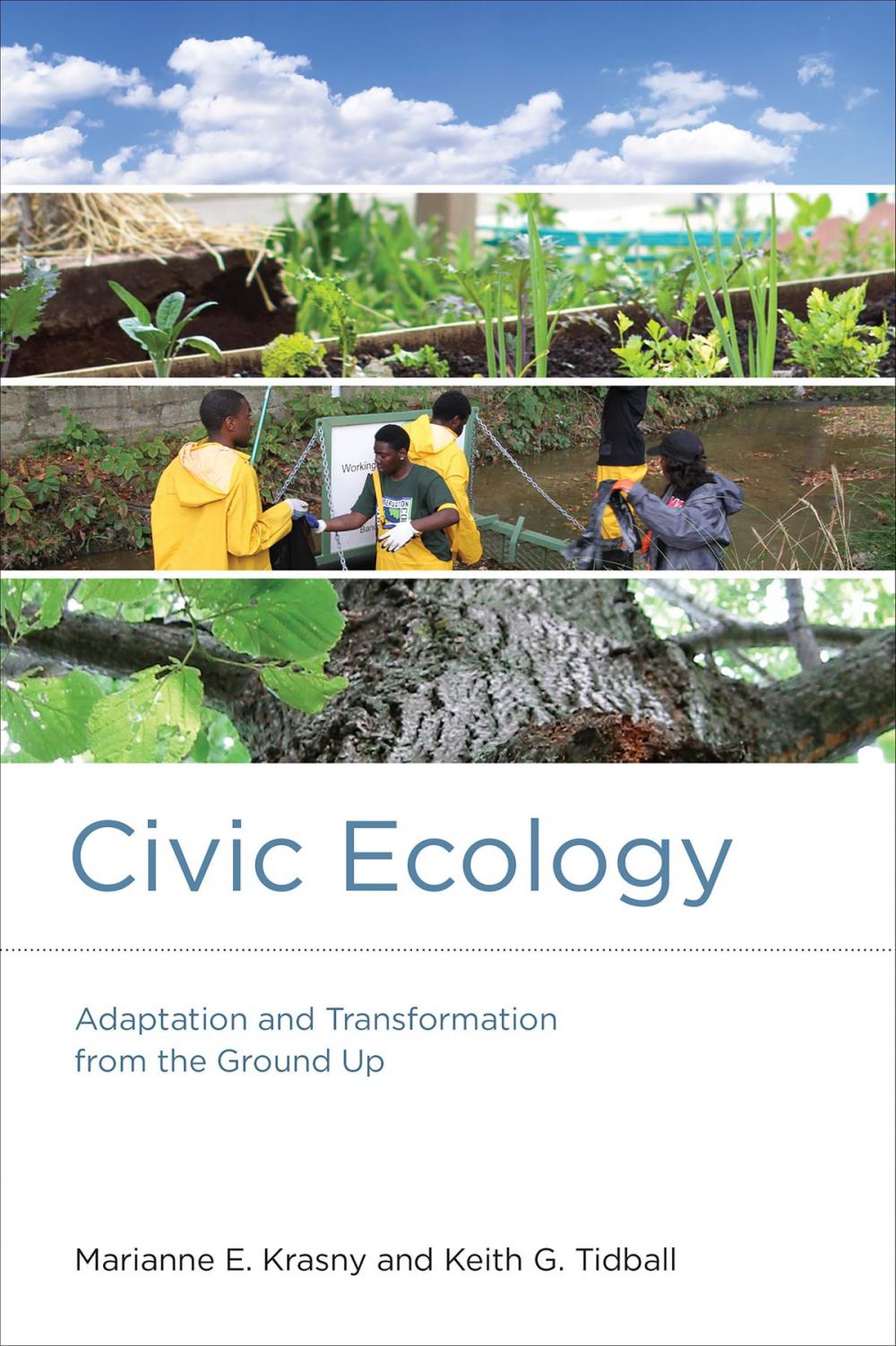 Big bigCover of Civic Ecology