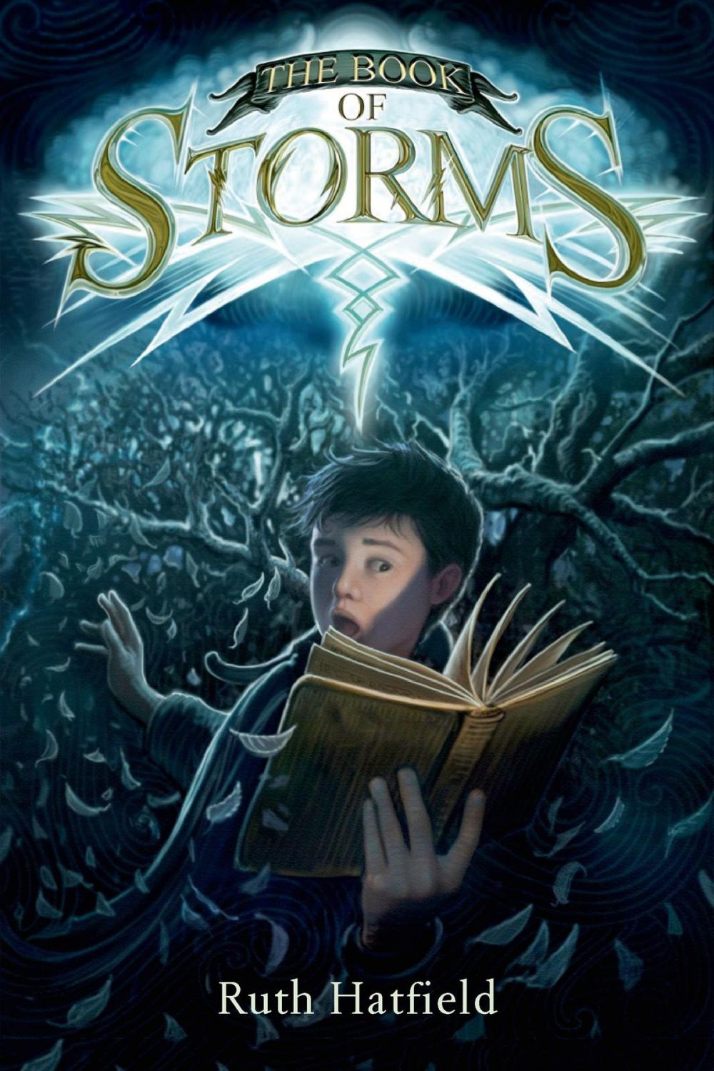 Big bigCover of The Book of Storms