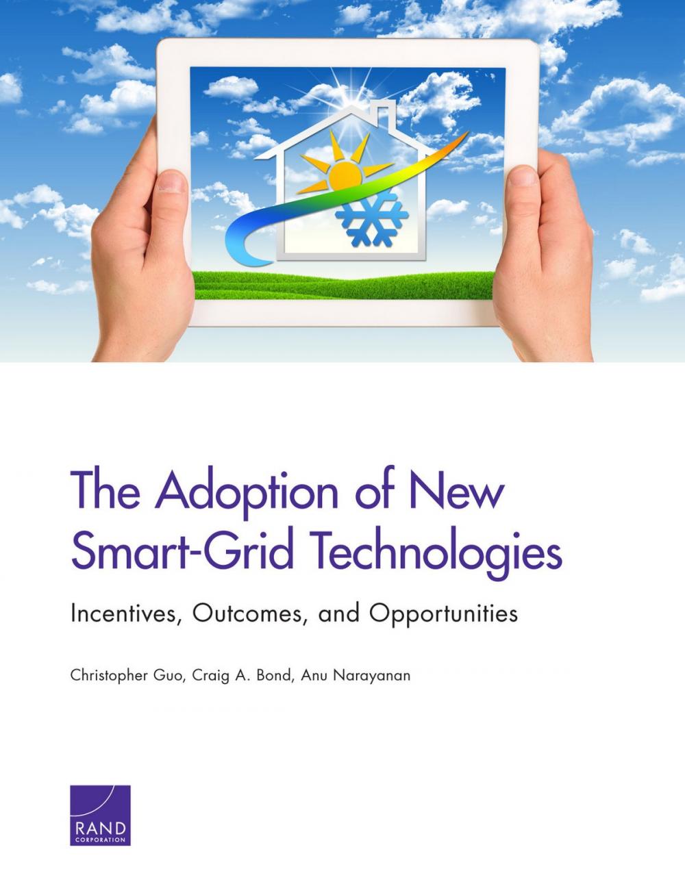 Big bigCover of The Adoption of New Smart-Grid Technologies