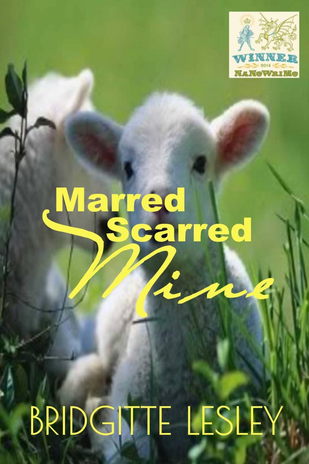 Big bigCover of Marred Scarred Mine