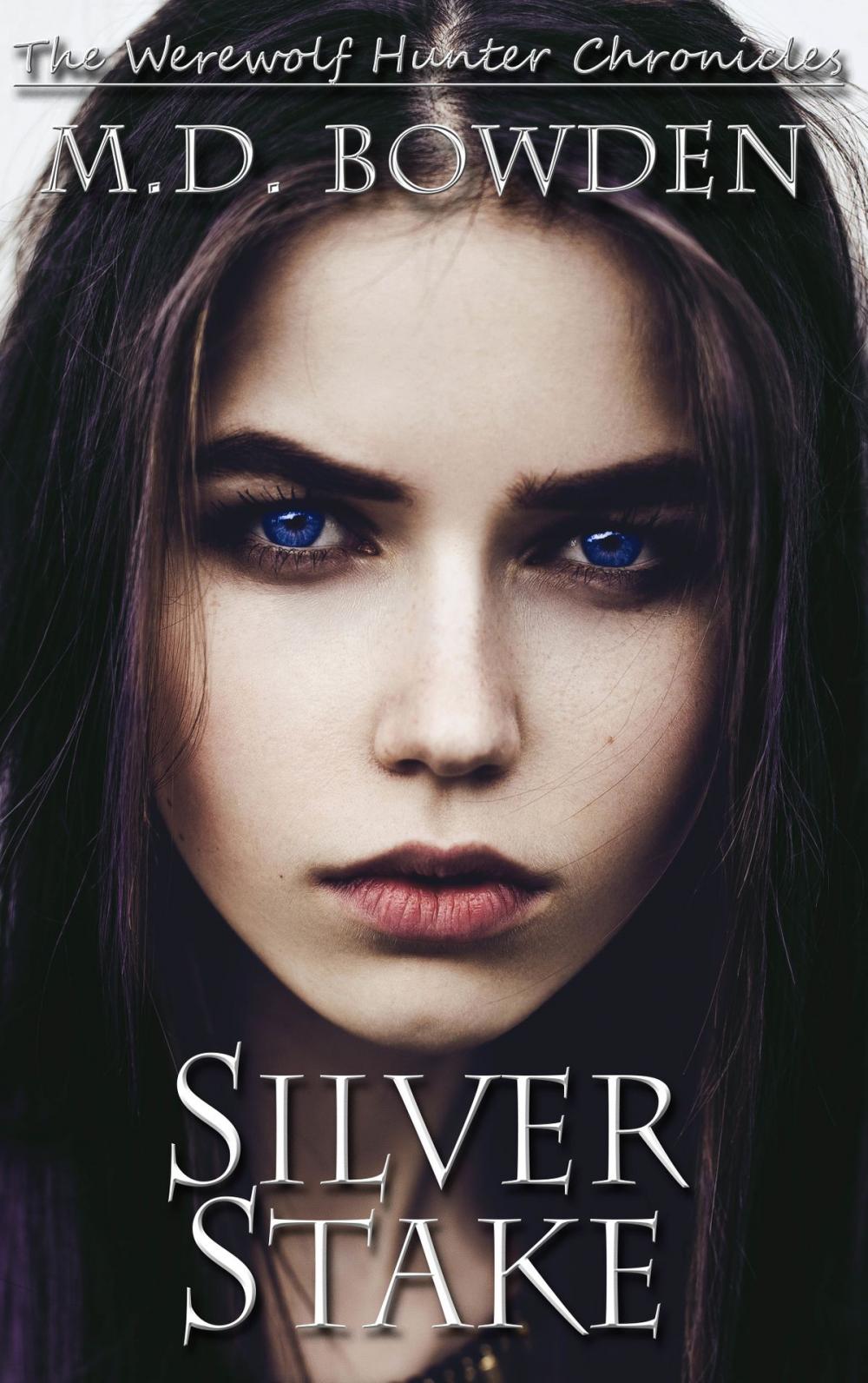 Big bigCover of Silver Stake (The Werewolf Hunter Chronicles, Book 1)