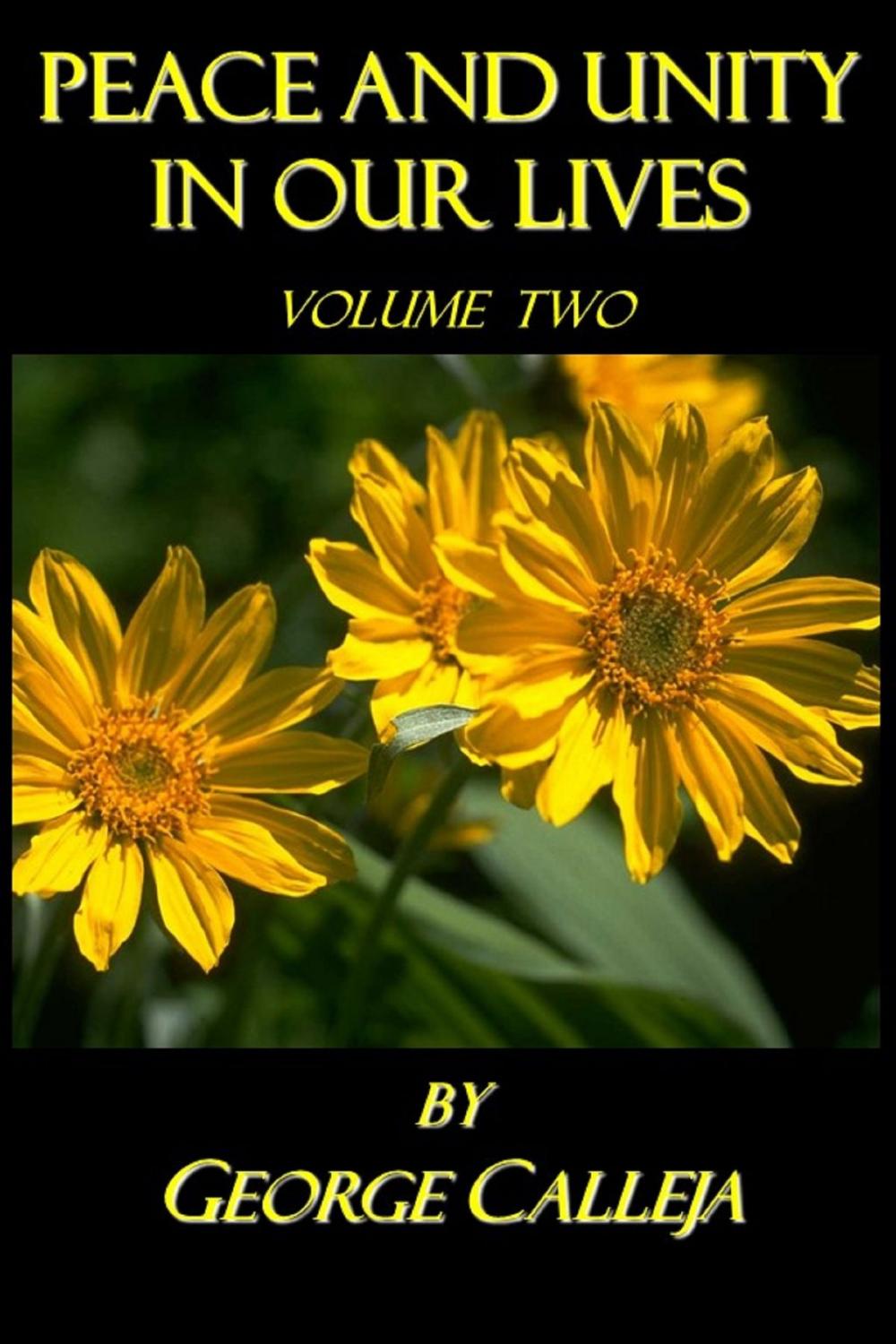 Big bigCover of Peace And Unity In Our Lives: Volume Two