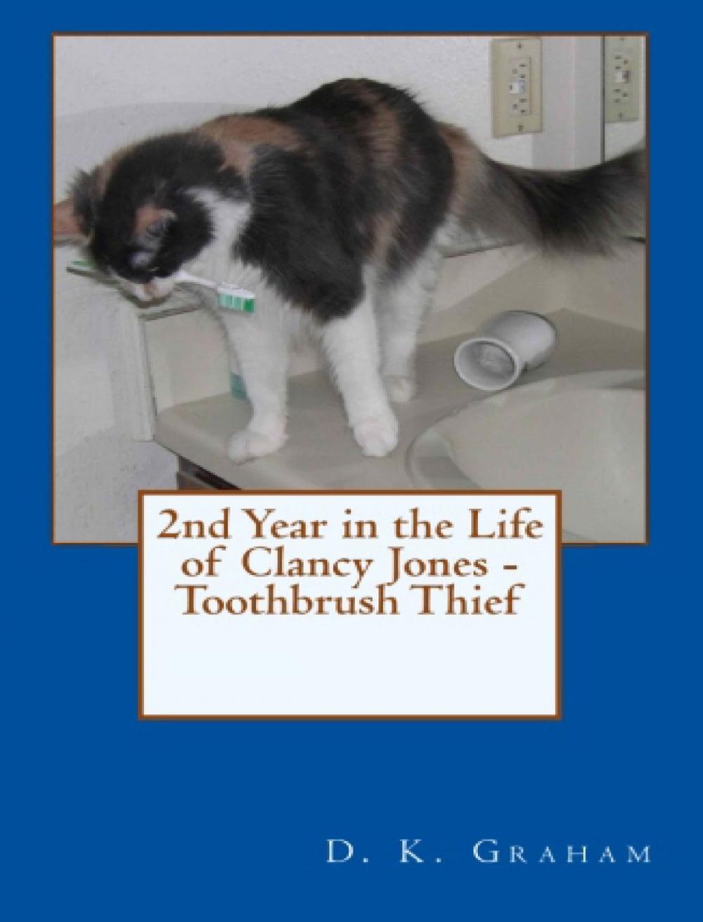 Big bigCover of 2nd Year in the Life of Clancy Jones: Toothbrush Thief