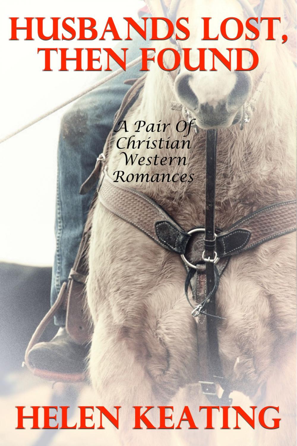 Big bigCover of Husbands Lost, Then Found (A Pair Of Christian Western Romances)