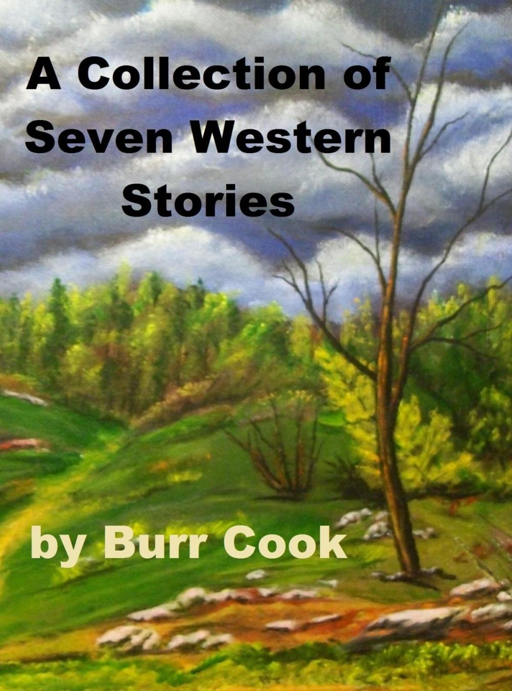 Big bigCover of A Collection of Seven Western Stories