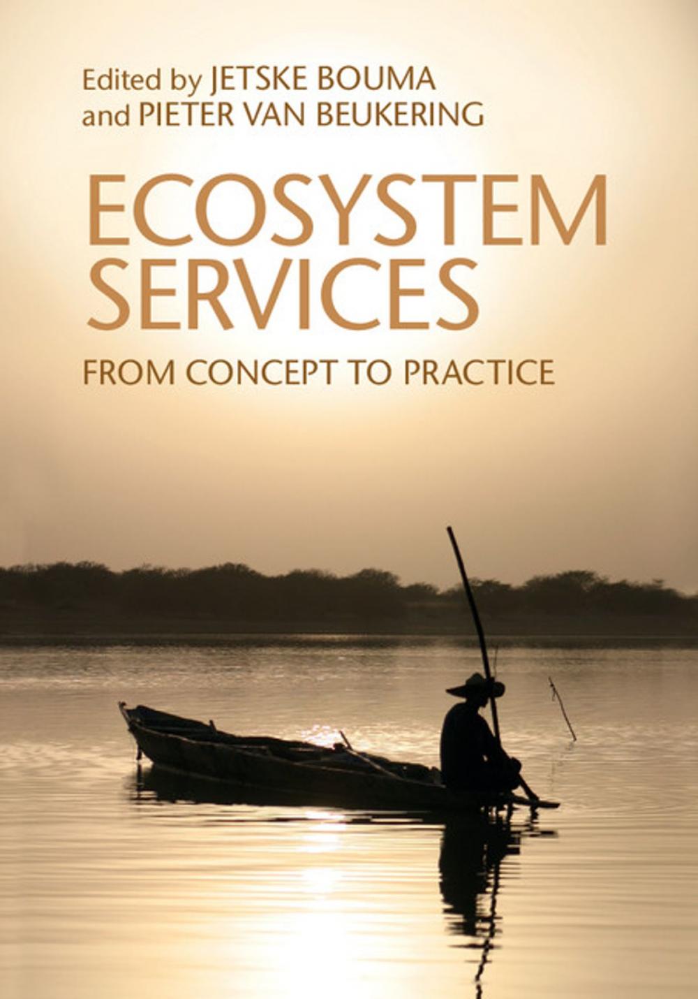 Big bigCover of Ecosystem Services