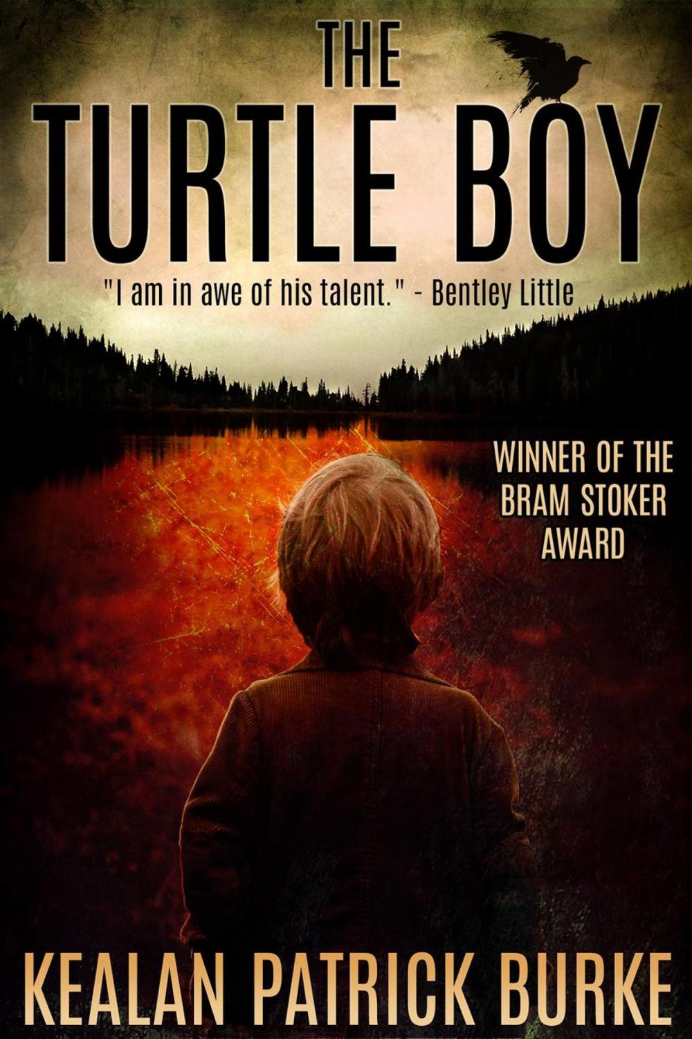 Big bigCover of The Turtle Boy