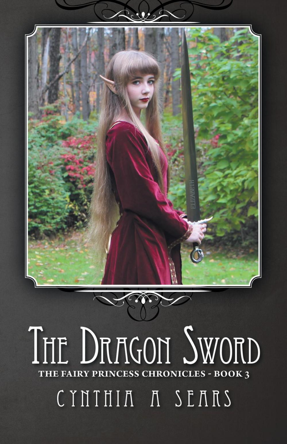 Big bigCover of The Dragon Sword