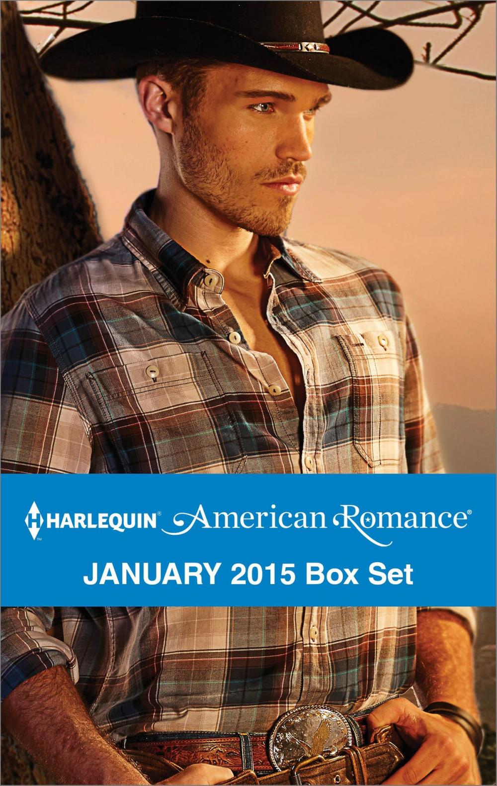 Big bigCover of Harlequin American Romance January 2015 Box Set