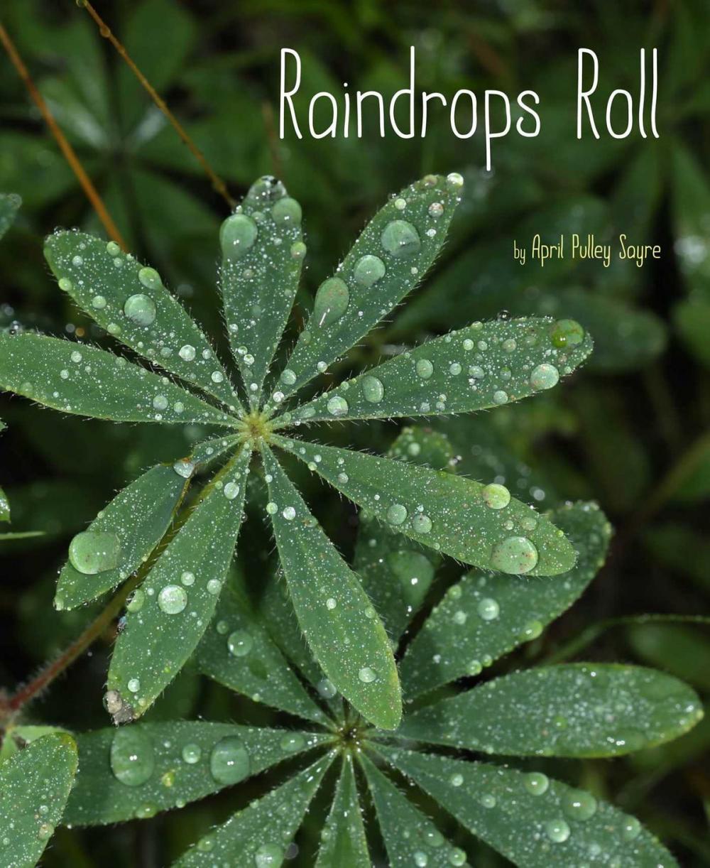 Big bigCover of Raindrops Roll
