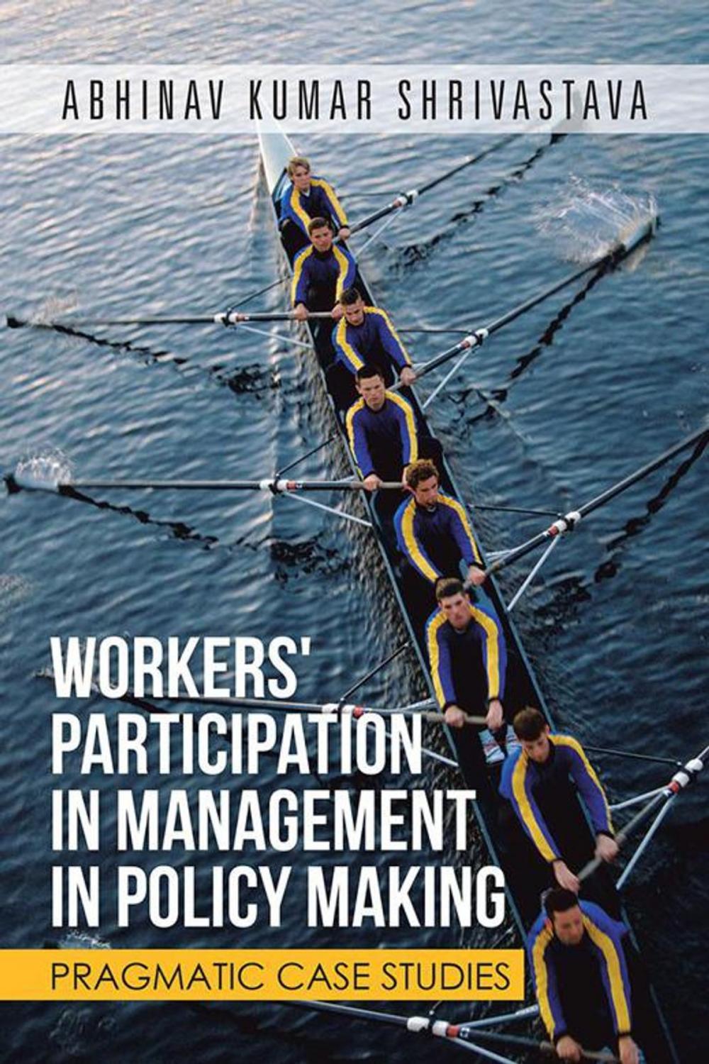 Big bigCover of Workers' Participation in Management in Policy Making
