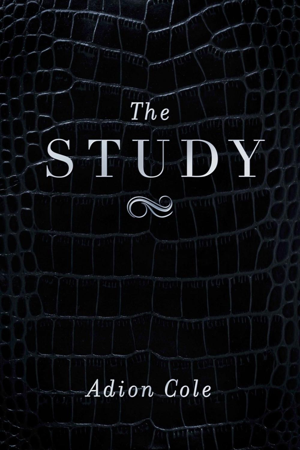 Big bigCover of The Study