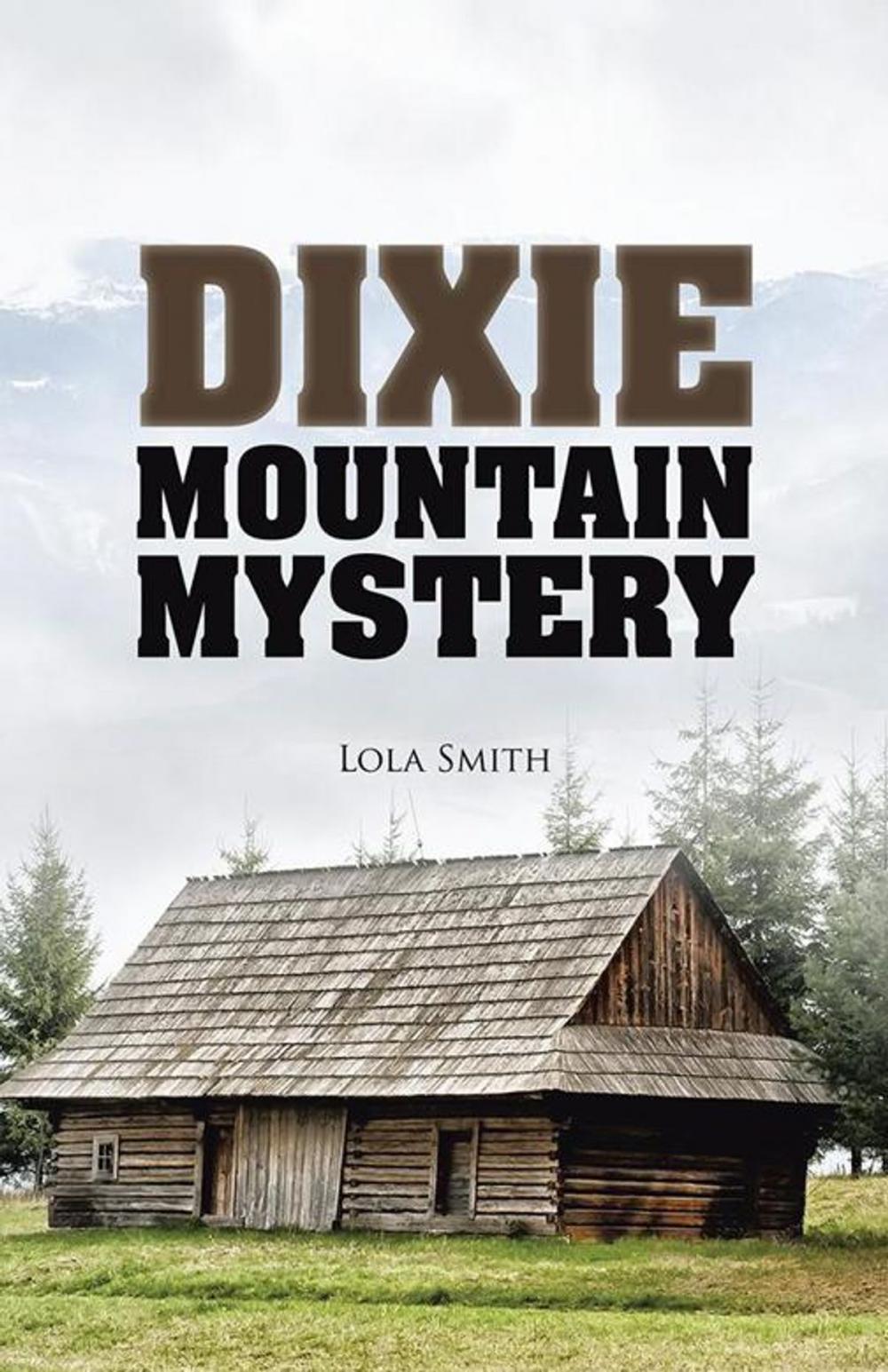 Big bigCover of Dixie Mountain Mystery