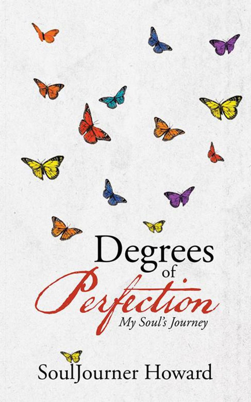 Big bigCover of Degrees of Perfection