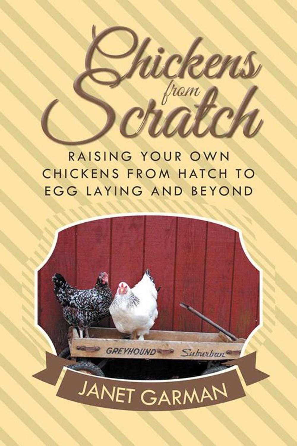 Big bigCover of Chickens from Scratch