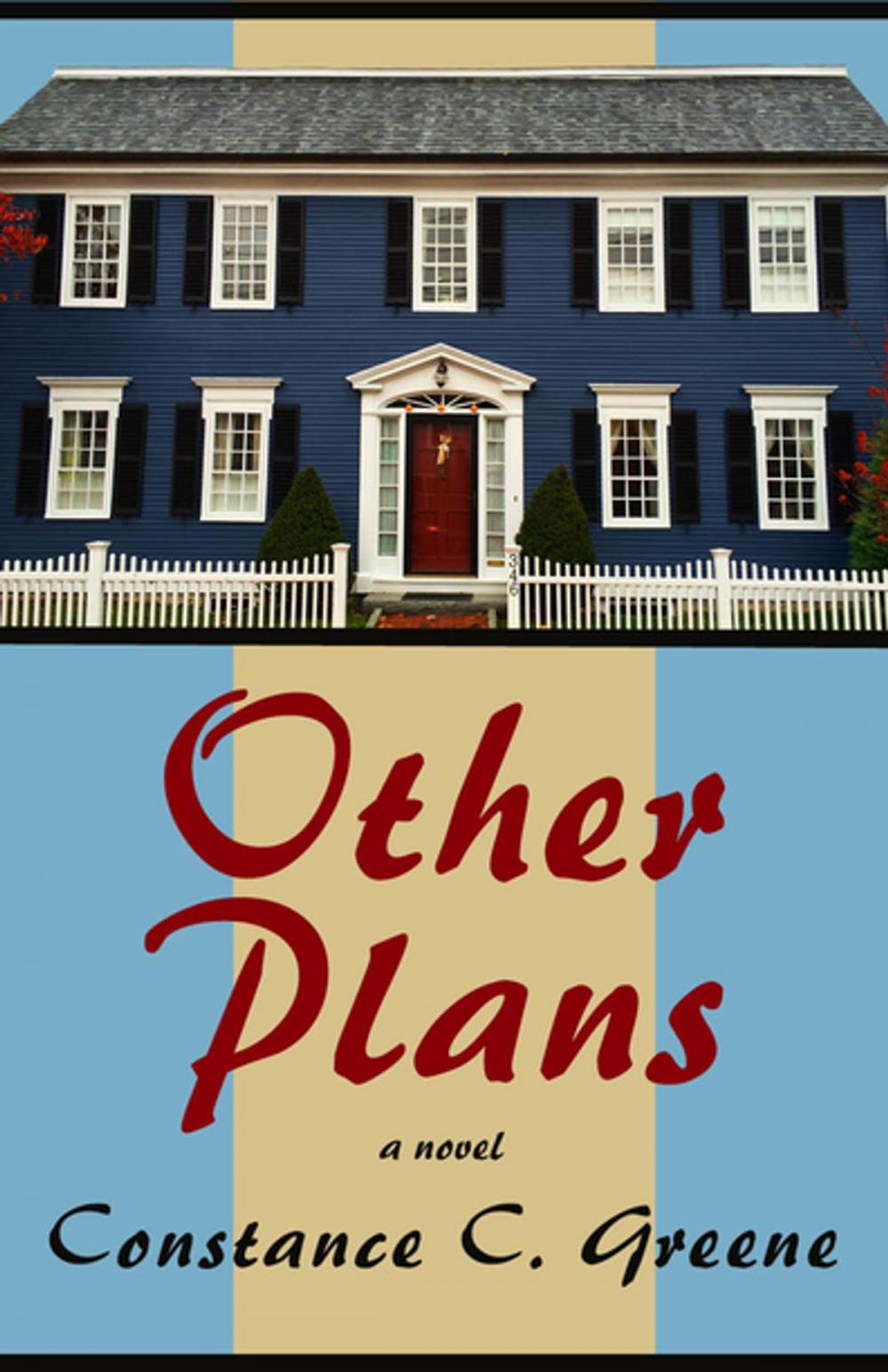 Big bigCover of Other Plans