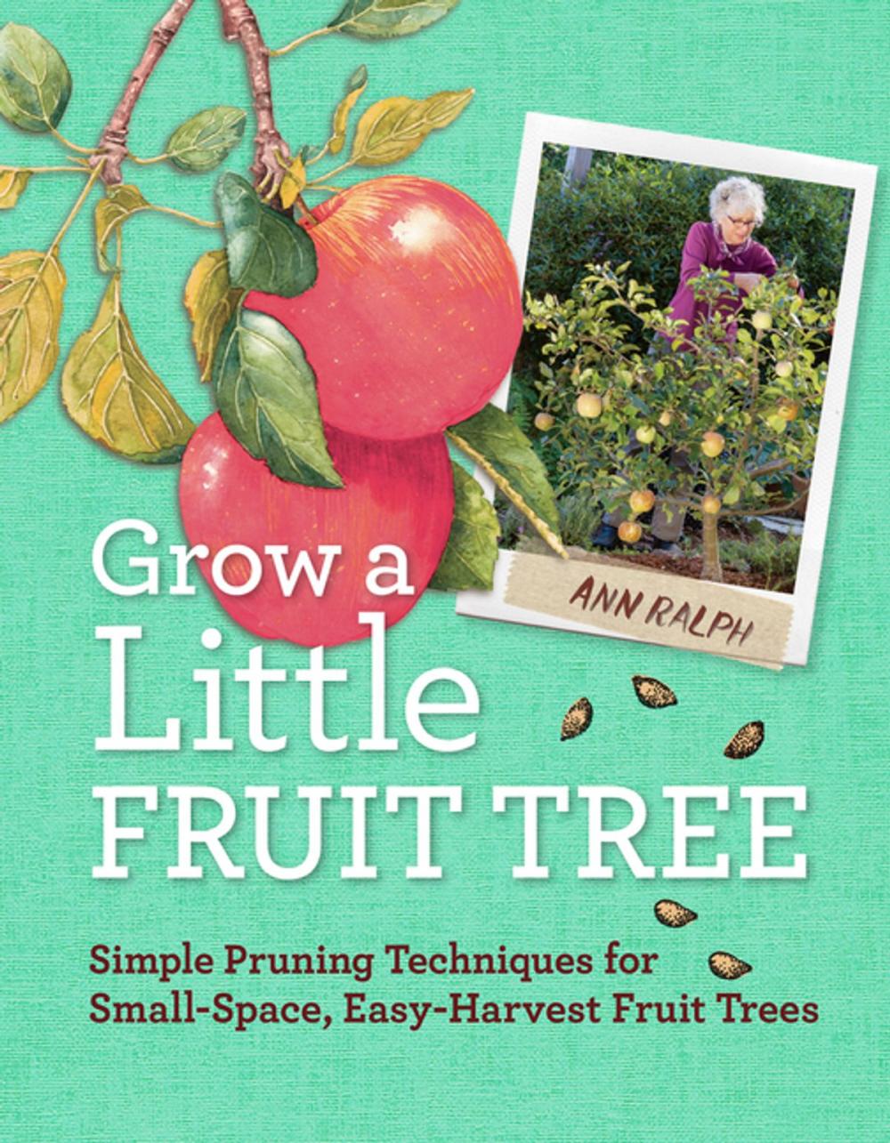 Big bigCover of Grow a Little Fruit Tree