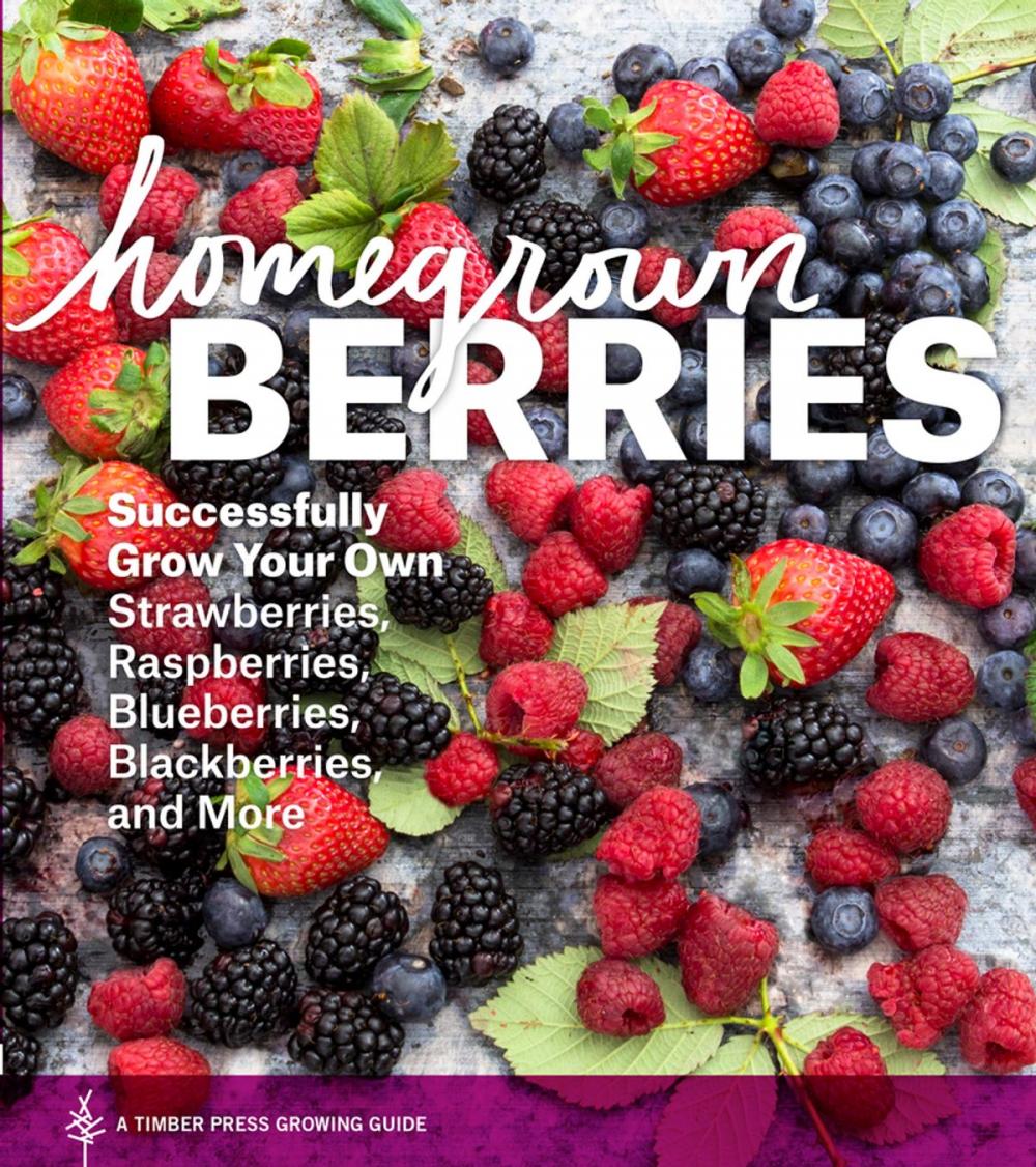 Big bigCover of Homegrown Berries