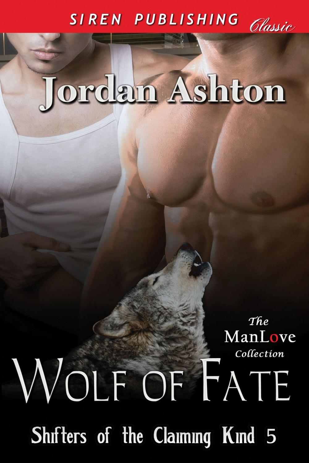 Big bigCover of Wolf of Fate