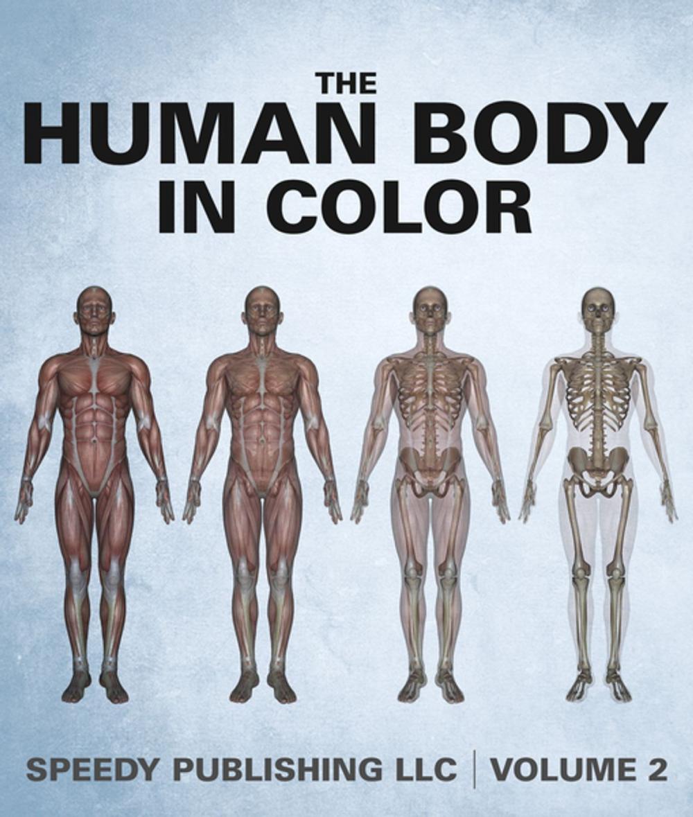 Big bigCover of The Human Body In Color Volume 2